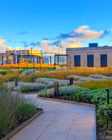 IMG_20220929_115721_572